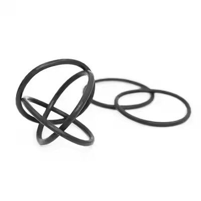 1095885 مضخة طلاء مسحوق Tribo Gen II الملمع O حلقات دعم OEM مخصص