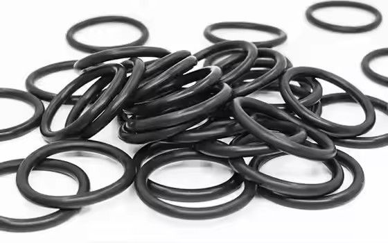 1095885 مضخة طلاء مسحوق Tribo Gen II الملمع O حلقات دعم OEM مخصص